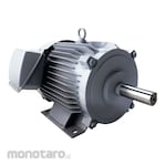 Mitsubishi Three-Phase Motor