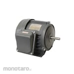 Shark Electro Motor Fetch 4 Pole