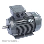 TECO Electric Motor Foot Mounted 3 Phase B3 6 Pole (Dinamo Motor Listrik)