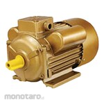 TOSITA Electrical Motor
