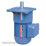 TUNGLEE Compact Gear Motor Flange Mounted 0.75kW 1HP 1Ph Brake