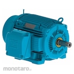 WEG Severe Duty - IEEE 841 Motor