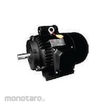 Wipro Electromotor Heavy Duty 1 Phase 220V 4P 1450Rpm