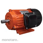 YASUKA Elektro Motor 3 Phase