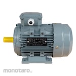 Yama Electro Motor Complete with Thermal Protector 3Phase