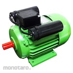 RYU Elektro Motor (Dinamo Motor)