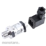 GEMS SENSORS Gems Sensors Pressure Sensor Gauge Screwed 3100 Series