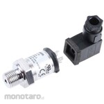 GEMS SENSORS Gems Sensors Pressure Sensor Gauge Screwed 3200 Series