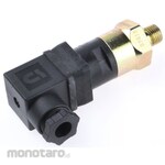 GEMS SENSORS Pressure Switch Gems Sensors 209957-Rs, Npt 1/4 Process Connection
