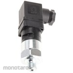 GEMS SENSORS Pressure Switch Gems Sensors 209958-Rs, Npt 1/4 Process Connection