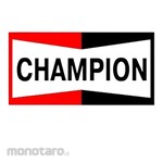 Champion Valve Set with Gaskets