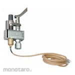 WHITE-RODGERS Pilot Light Assemblies