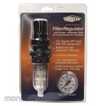 DIXON VALVE COUPLING Series1-Carded Mini Filter/Reg Auto