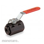 DYNAQUIP CONTROLS Manual Ball Valves