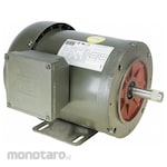 DAYTON Motor for Rotary Gear Pump