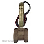 Dwyer Paddle Flow Switch