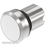 EAO Actuator 10 A Momentary Panel Mount White 22.3 Dia.Mm