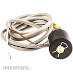 GEMS SENSORS Gems Sensors Float Switch Brass / Nbr