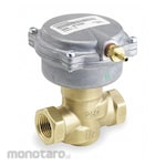 SIEMENS Pneumatic Actuated Valves