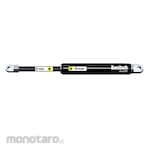 BANSBACH Easylift Gas Spring Standard