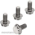 FESTO screw