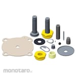 ASCO C113444 Membran Kit 1inch For G044