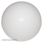 DAYTON Check Ball PTFE