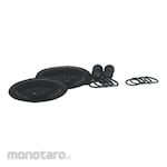 DAYTON Fluid End Repair Kit for Double Diaphragm Pump