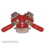 DIXON VALVE COUPLING Ball Wye