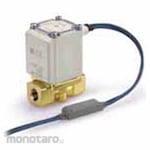 SMC Direct Acting 2-port Solenoid Valve for Steam and Hot Water VX215 Series
