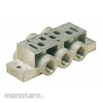 SPEEDAIRE Solenoid Valve Manifolds