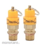 ALDO Safety Valve (Klep Pengaman)