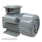 MultiPro Electro Motor