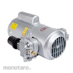 GAST Rotary Vacuum Pump 3LBA Series Model