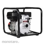 RED LION Gas-Powered Trash & Utility Pumps