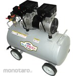 Seiwa industry Professional-grade compact compressor