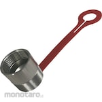 CEJN Series 232 (Nominal Diameter 10) Dust Cap for Nipple