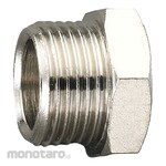 ESCO G 1/4 `` Pipe Plug Brass