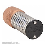 CAMPBELL Foot Valves