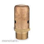 BELL GOSSETT Vacuum Breakers