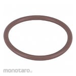 BANJO Viton Gaskets