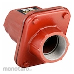 LIBERTY PUMPS Check Valves