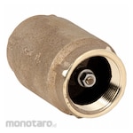 SIMMONS Check Valves