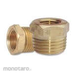 ALDO Nepel Verlop Ring