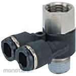 PISCO Female Branchay