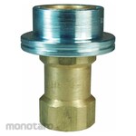 DIXON VALVE COUPLING HS-Series FeMNPT oupler BR