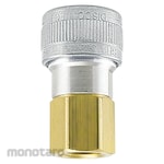 FOSTER Socket 3/8 FPT