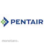 Pentair Bearing Plate