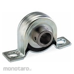 DAYTON Pillow Block Ball Bearing