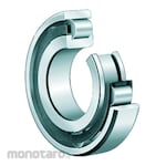 FAG Cylindrical Roller Bearing